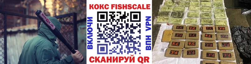 купить наркоту  mega ссылки  Cocaine Fish Scale  Цивильск 