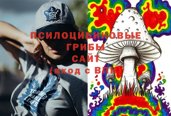 круглые Алексеевка
