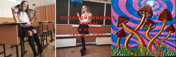 круглые Алексеевка