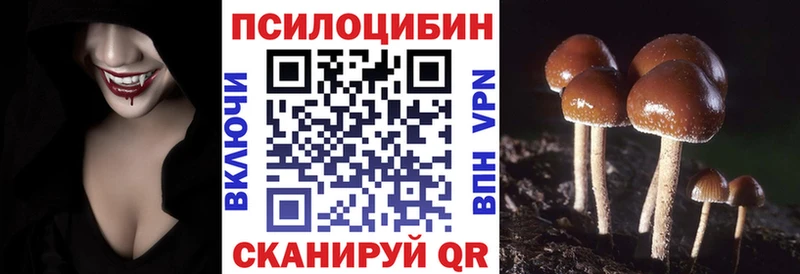 Псилоцибиновые грибы мухоморы  как найти   Цивильск 