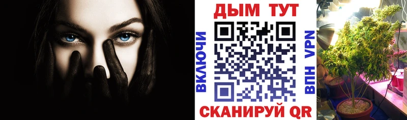 Шишки марихуана планчик  что такое   Цивильск 